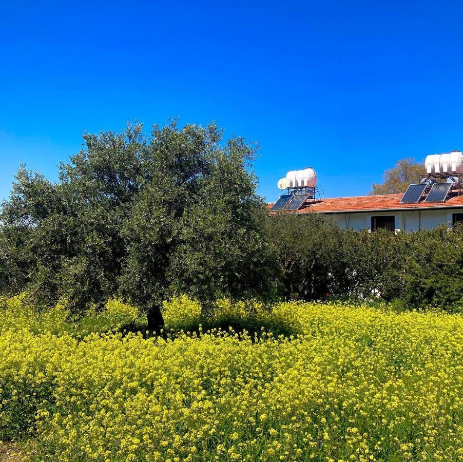 Bare Hill Holiday Apartments Krini Exterior foto